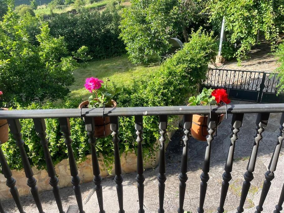 Villa Casa A Boga Ribeira Sacra à Abeleda Extérieur photo