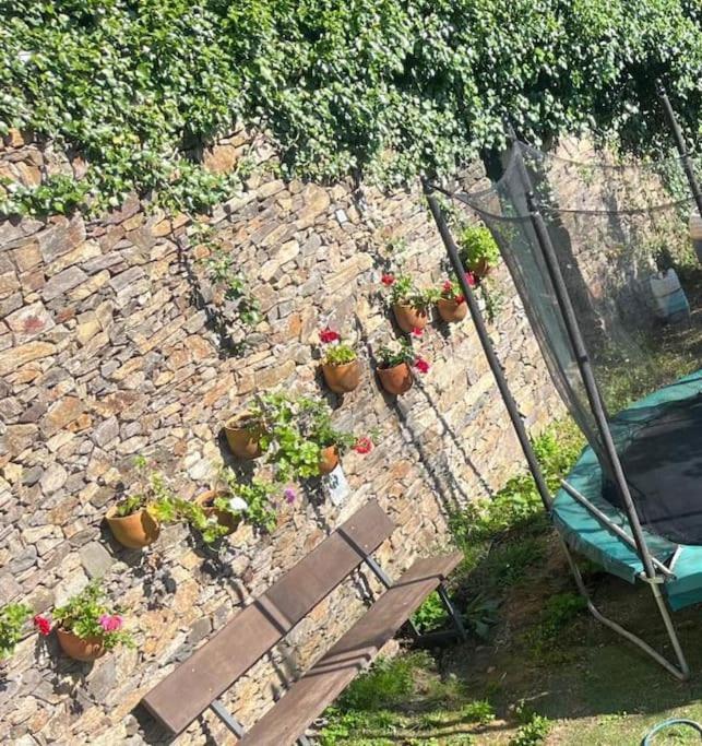 Villa Casa A Boga Ribeira Sacra à Abeleda Extérieur photo