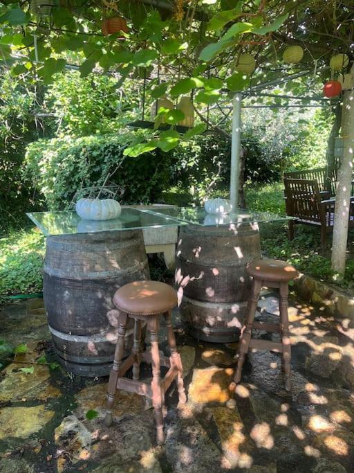 Villa Casa A Boga Ribeira Sacra à Abeleda Extérieur photo