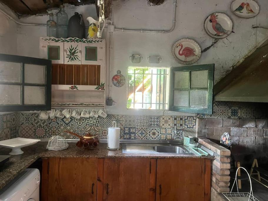 Villa Casa A Boga Ribeira Sacra à Abeleda Extérieur photo