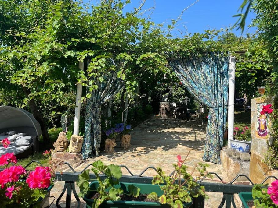 Villa Casa A Boga Ribeira Sacra à Abeleda Extérieur photo